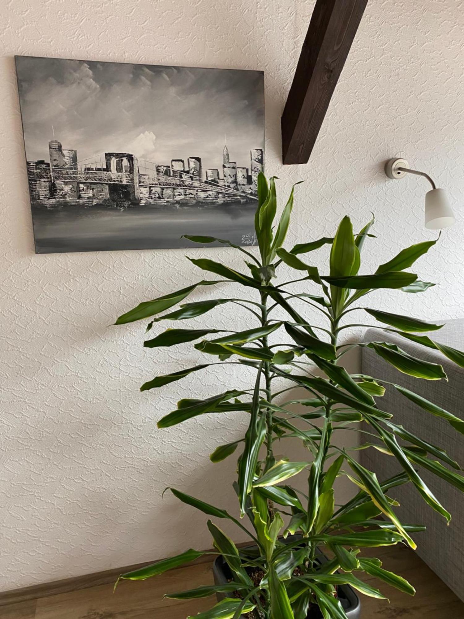 Ferienwohnung Malk Traben-Trarbach Zewnętrze zdjęcie